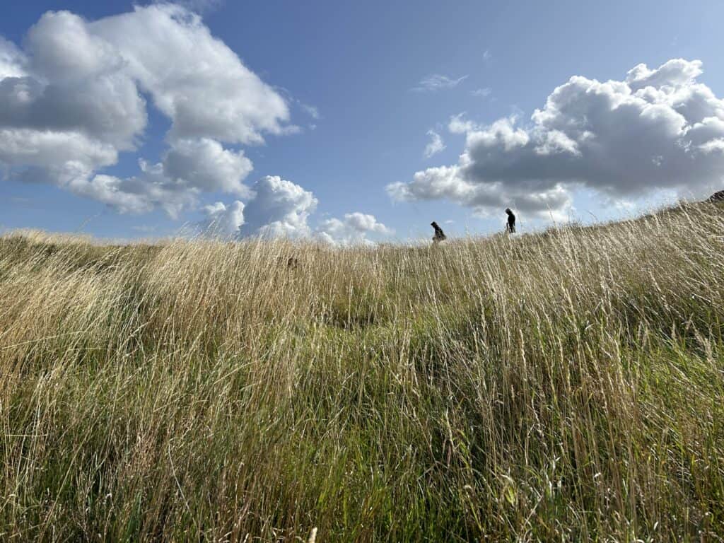 Arthur's Seat Edinburgh