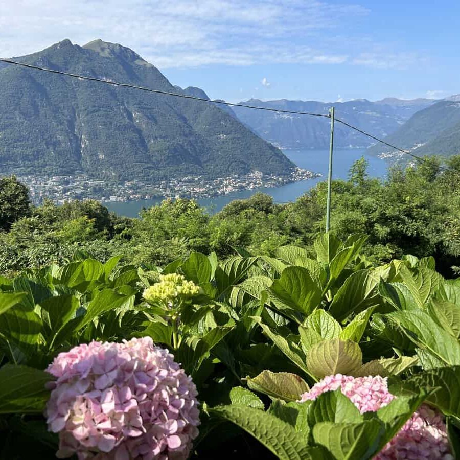 Essentia Guesthouse Faggeto Lario