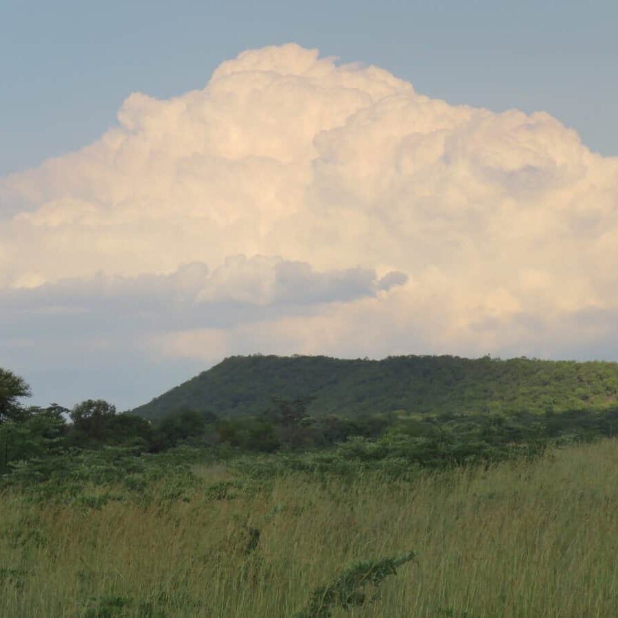 Entabeni Game Reserve