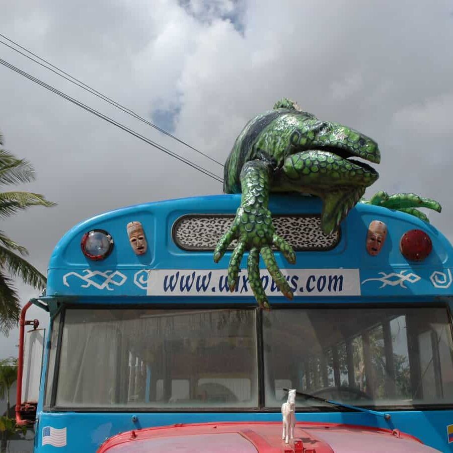 Aruba bus with free passengerAruba bus