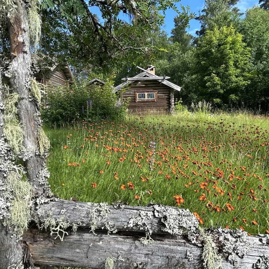 Korpholens fäbodställe