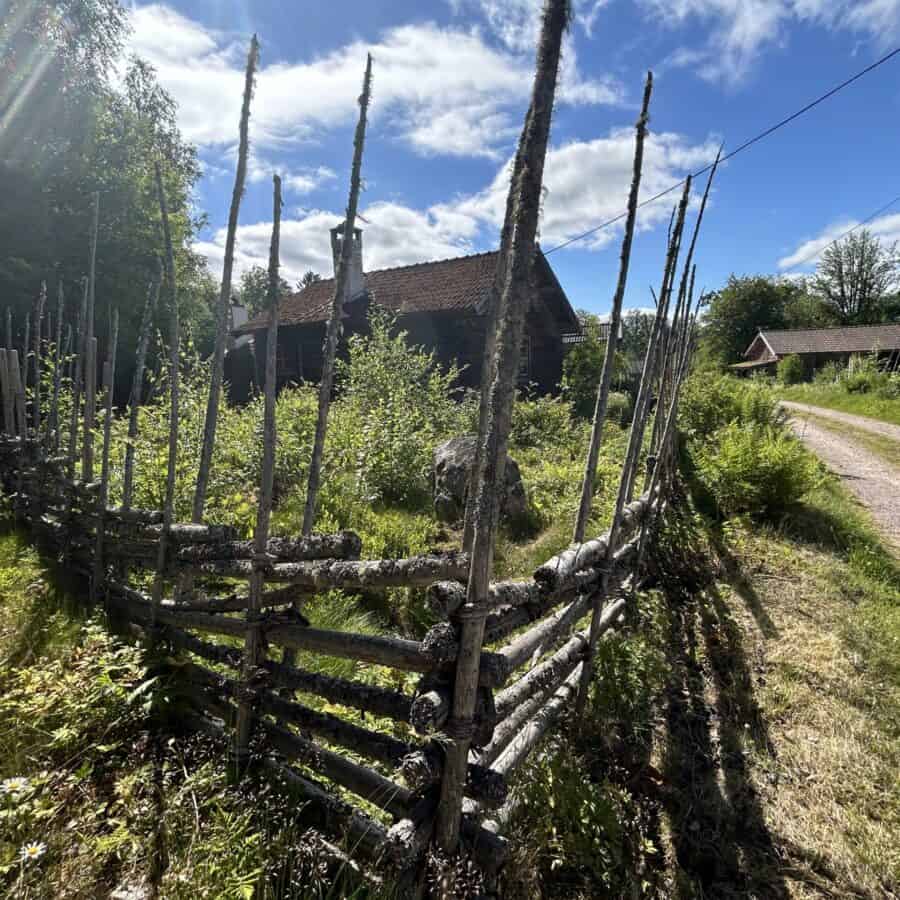 Korpholens fäbodställe