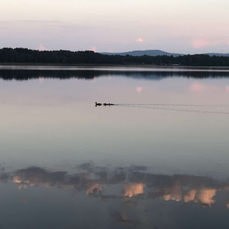 Båthusen Västra Rönnäs