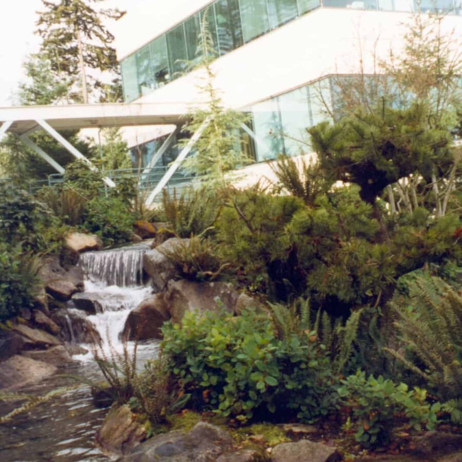 Microsoft HQ 1991