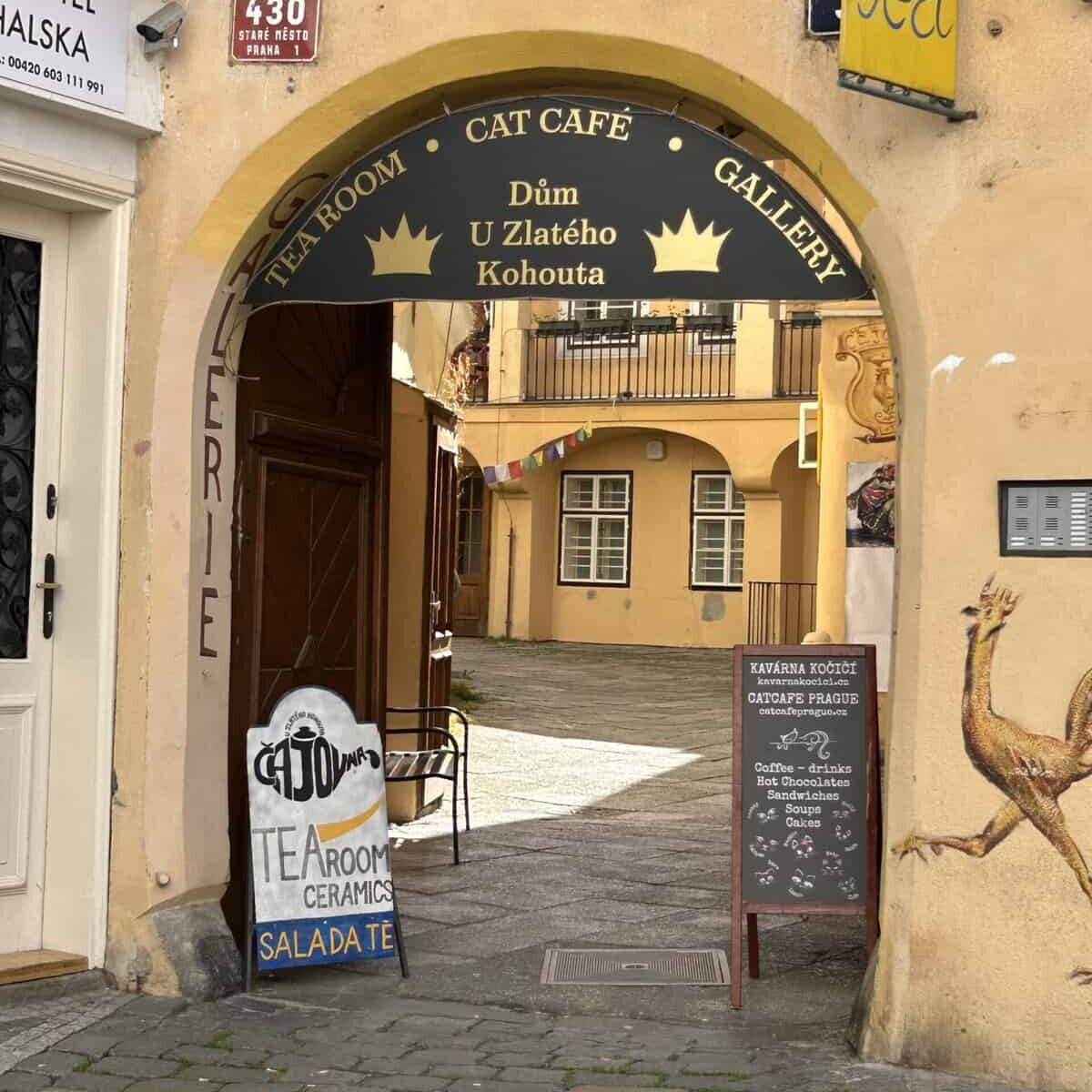 Kattcafé i Prag